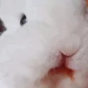 aylinaMUNCH emote for Discord