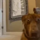 AYOOO emote for Discord