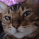 aylaJAM emote for Discord