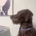 ayo emote for Discord