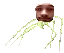 ayoStickbug emote for Discord