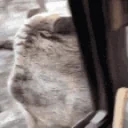 AydenLeave emote for Discord