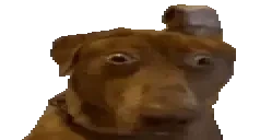 AYOOO emote for Discord