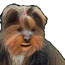 bbFaint emote for Discord