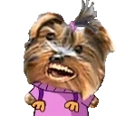 BBWiggle emote for Discord