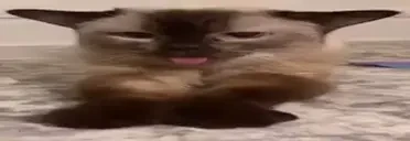 BB emote for Discord