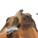 bbVibe emote for Discord