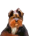 bbnotL emote for Discord