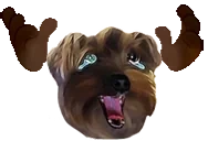 bbNOOOO emote for Discord