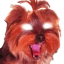 BBInsane emote for Discord