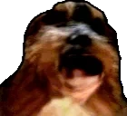 bbAgony emote for Discord