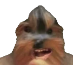 BBLookUp emote for Discord