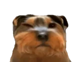 bbuh emote for Discord
