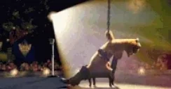 b80fb0845112a3e4b2bd066 emote for Discord