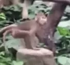 b3 emote for Discord