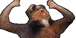 bbCheer emote for Discord