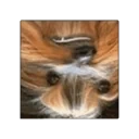 BBCUBE emote for Discord