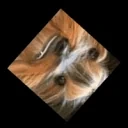 BBPossessed emote for Discord