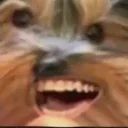 BBVibE emote for Discord