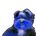 bbParty emote for Discord