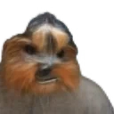 bbFaint animated emote for Discord, Twitch and Slack