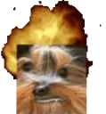 BBExplode emote for Discord
