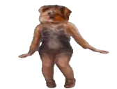 bbShigure emote for Discord