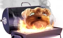 BBQ emote for Discord