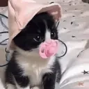 bb emote for Discord