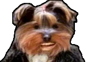 bbOOOO emote for Discord