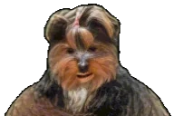 bbSeizure emote for Discord