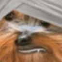 bbPoof emote for Discord