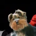 bbNOW emote for Discord