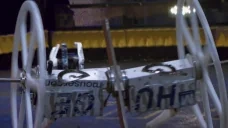 bbDeadge emote for Discord