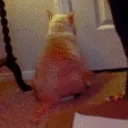 BBleave emote for Discord