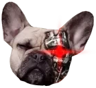 bDoris emote for Discord