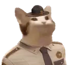 bcsoPopCat emote for Discord