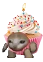 bdaycatrun emote for Discord