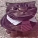 catsitting emote for Discord