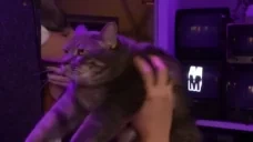 BCJAM emote for Discord