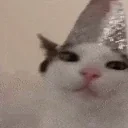 bDAYplenk emote for Discord