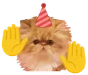 bdayDance emote for Discord