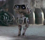 BD1 emote for Discord