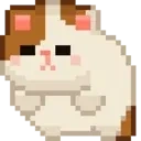 BIGCAT emote for Discord