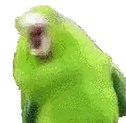 BirbParty emote for Discord
