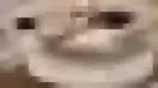 Bitrateuuh emote for Discord