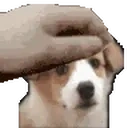 bhvithPet emote for Discord