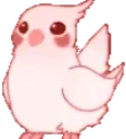 BirbRave emote for Discord
