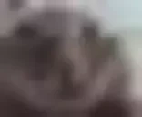 Bitratemuh emote for Discord