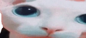 bingusPlink emote for Discord